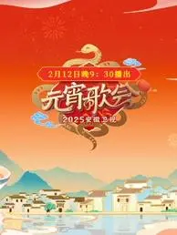 2025安徽元宵晚会：璀璨灯火庆团圆，精彩节目闹新春！