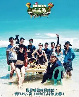 《NIKITA！你去哪》：迷雾重重的谍影追踪，一场关于身份与救赎的惊险游戏