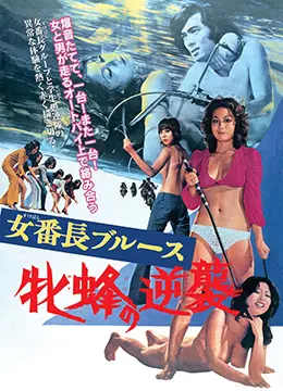 《女番长布鲁斯：雌蜂的逆袭》：铁拳下的青春叛逆与姐妹情深，谁说女子不如男？